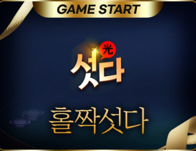 홀짝섯다솔루션